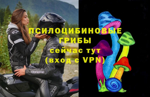 прущая мука Осташков
