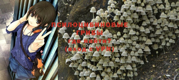 хмурый Остров
