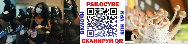 Псилоцибиновые грибы прущие грибы  Новое Девяткино 